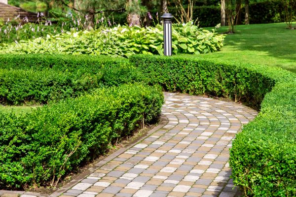 Paved Landscaping in Broomfield