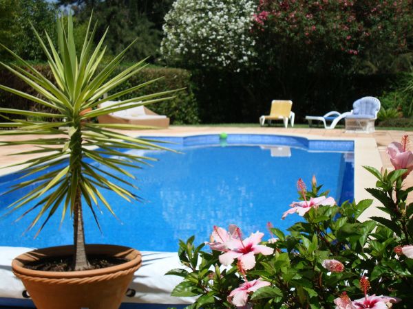 Pool Terrace Renovation in Broomfield