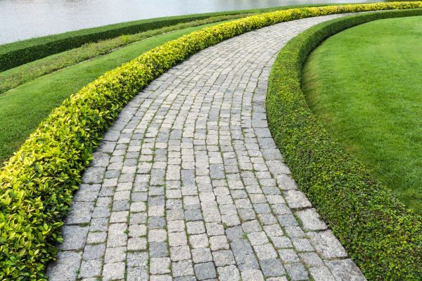 Sidewalk Pavers Installation in Broomfield